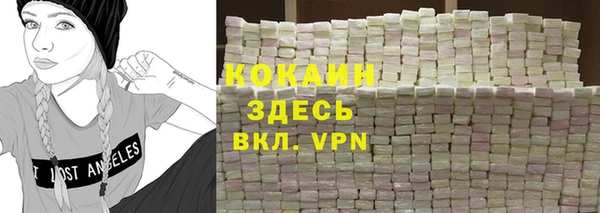 мдпв Богородицк