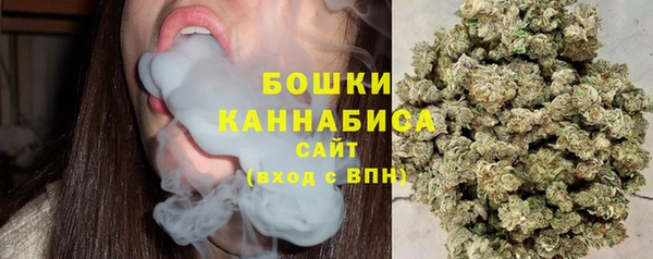 мдпв Богородицк