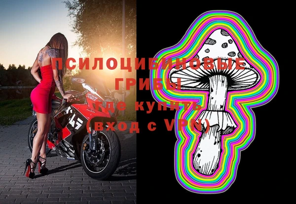 MDMA Богданович
