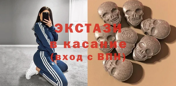мдпв Богородицк