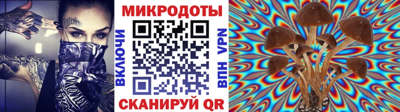 Галлюциногенные грибы прущие грибы  Дрезна 